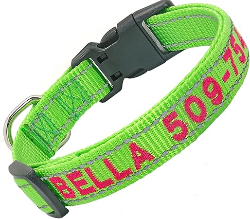embroidered dog collars amazon