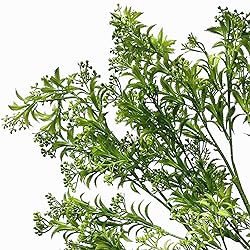 Fake Plants Artificial Plant Simulation Thorn