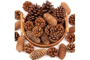 QEQEKAKA 54 PCS Natural Pine Cones for Crafts Set 1.2"-4" Medium & Extra Large Pinecones Decorating Bulk, for DIY Crafts, Vase Fillers, Fall & Thanksgiving Christmas Bowl Filler Decorations, Wedding Decor