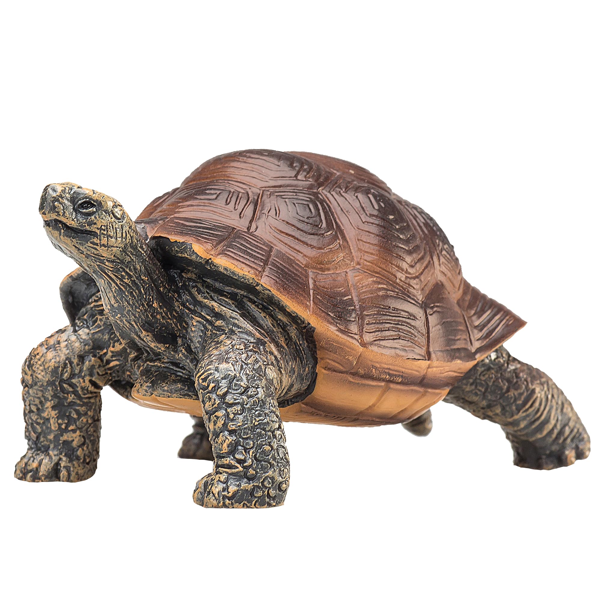 MOJO - Giant Tortoise | Hand-Painted Toy Figure | Wildlife Collection | True to Life & Highly Detailed | Designed in UK