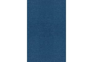 The Quantum Vacuum: An Introduction to Quantum Electrodynamics