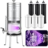 LCF 𝐒𝐢𝐥𝐯𝐞𝐫 𝐈𝐨𝐧𝐬 Enhanced UV-C Gravity Water Filter, Advanced Alternative to Berkey Water Filter System, NSF42 Standard, Reduces 99% Chlorine & Baçtёria, 6 Filters, Water Level Spigot, 3Gal