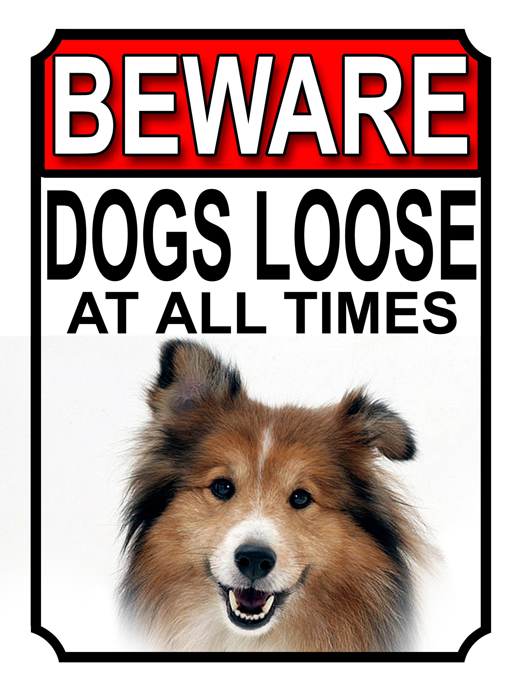 BEWARE DOGS LOOSE AT ALL TIMES METAL SIGN SHETLAND SHEEPDOG 200MM X 150MM (1018H1) โ image 1