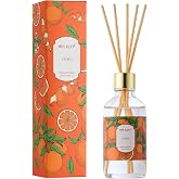 Airkeep Reed Diffuser Oil Set with Reed Sticks,Citrus Aromatherapy Oil Scent Diffuser for Home Office Bathroom Decoration Perfume and Gifts 3.38oz/100ml