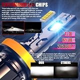 H11 LED Headlight Bulb 6500K 60W 26000LM Pack of 2 Plug and Play view 3