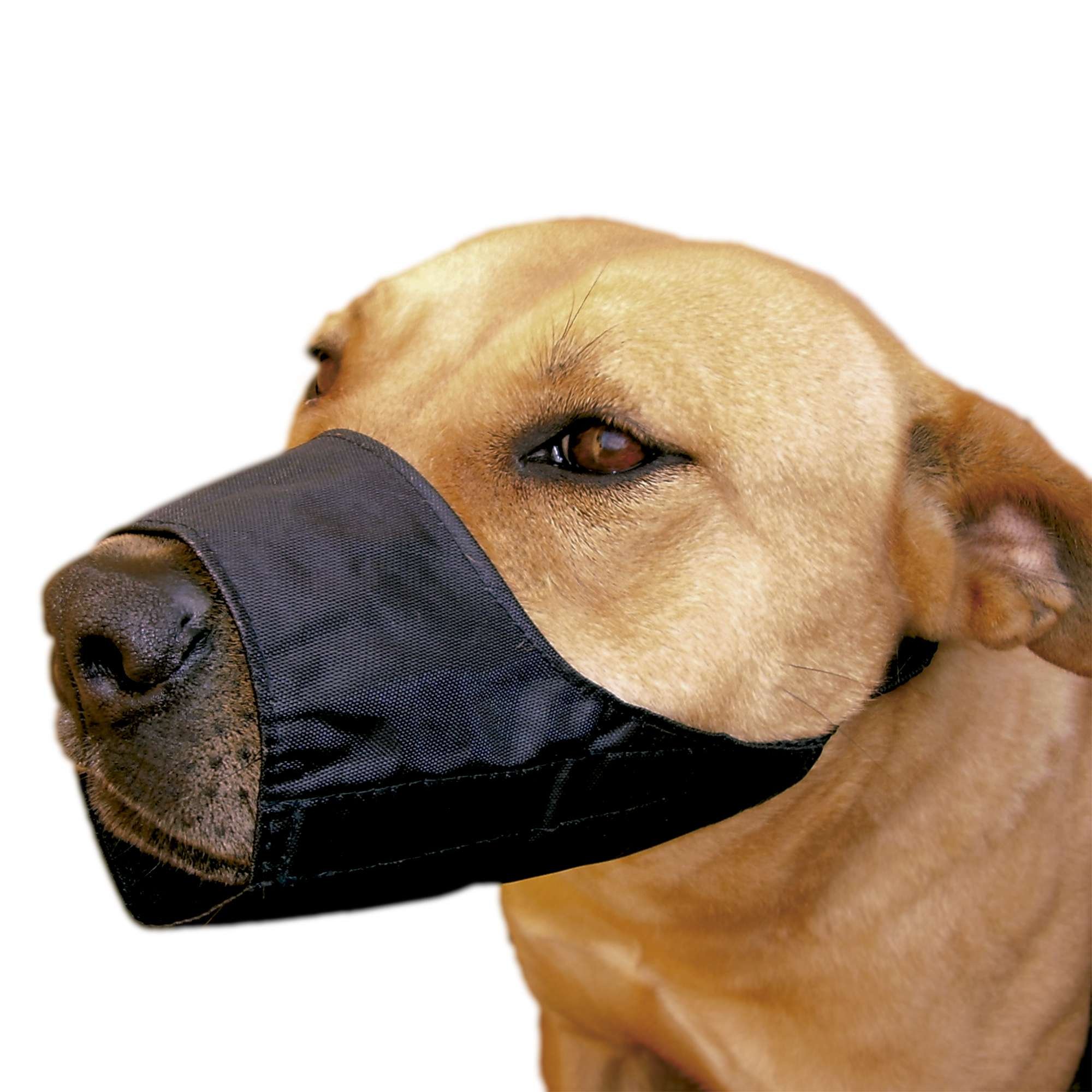 ICA DB938 Adjustable Nylon Muzzle for Breeds of Short Boxer, Black