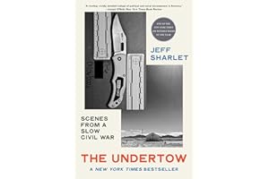 The Undertow: Scenes from a Slow Civil War