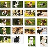 BEST PAPER GREETINGS Blank Puppy Dog Postcards - Assorted Pet Postcards & Puppy Note Cards - Blank Dog Notecards & Personalized Messages - 40-Pack, 250 GSM Cardstock, 4 x 6 In