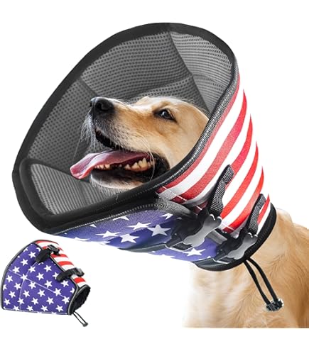 Collar Human Sized Cone Of Shame BNISE Protective Dog Cone Collar