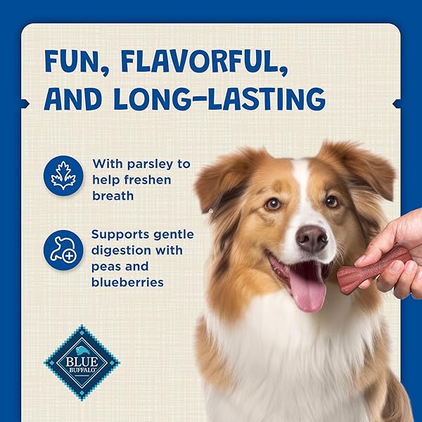 BLUE BUFFALO DENTAL BONES REGULAR NATURAL DENTAL CHEW DOG TREATS BAG VALUE PACK