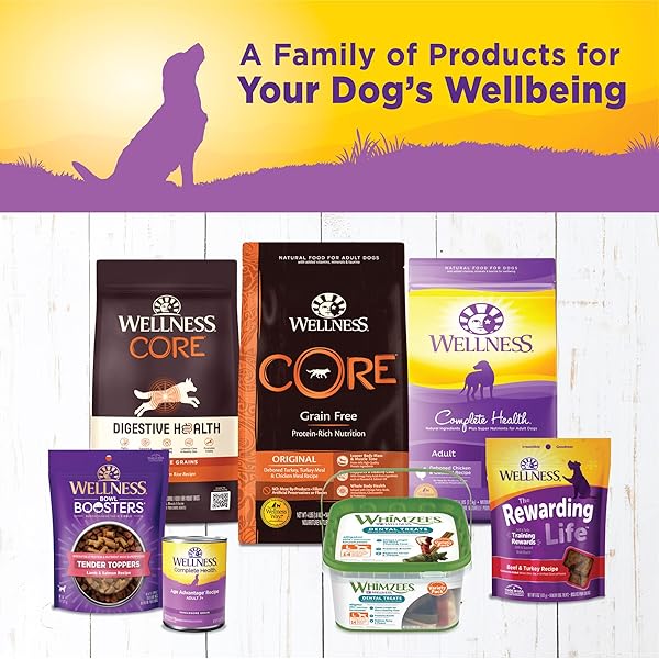 WELLNESS COMPLETE HEALTH NATURAL WET CANNED DOG FOOD, AGE ADVANTAGE CHICKEN & SWEET POTATO, 12.5-OUNCE CAN (PACK OF 12)