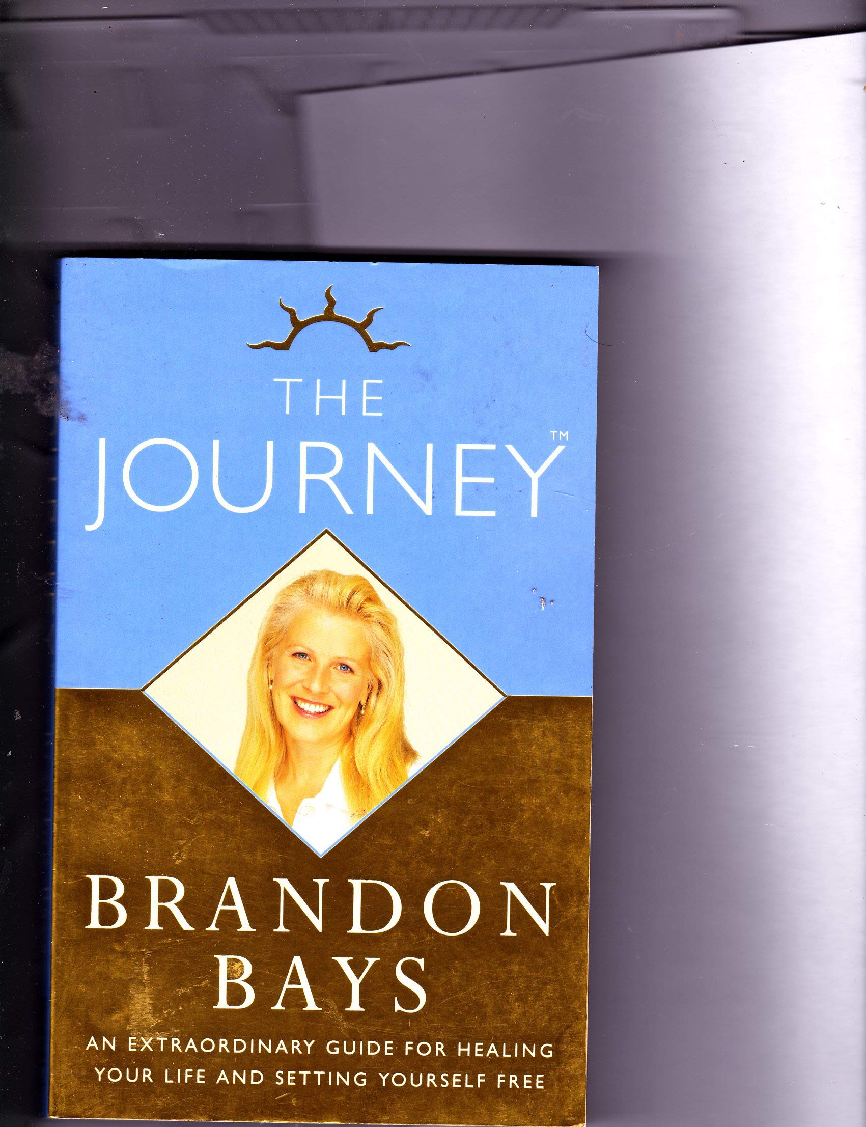 The Journey An Extraordinary Guide For Healing Your Life And Setting Yourself Free Amazon Co Uk Brandon Bays 9780722538395 Books
