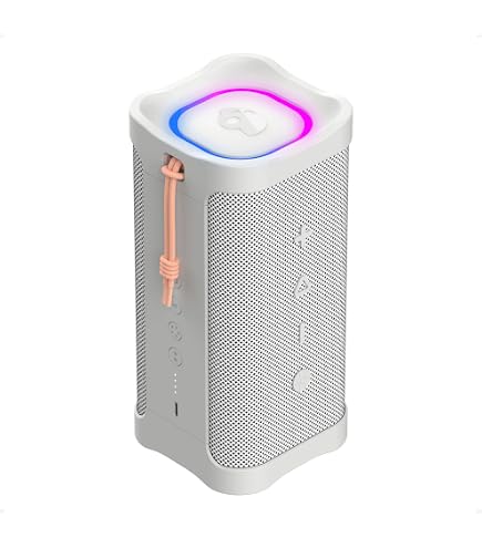 Amazon.com: Lifeworks Skullcandy Terrain Mini 2 Wireless Bluetooth