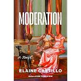 Moderation: A Novel