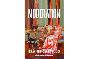 Moderation: A Novel