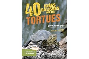 40 idées fausses sur les tortues (French Edition)