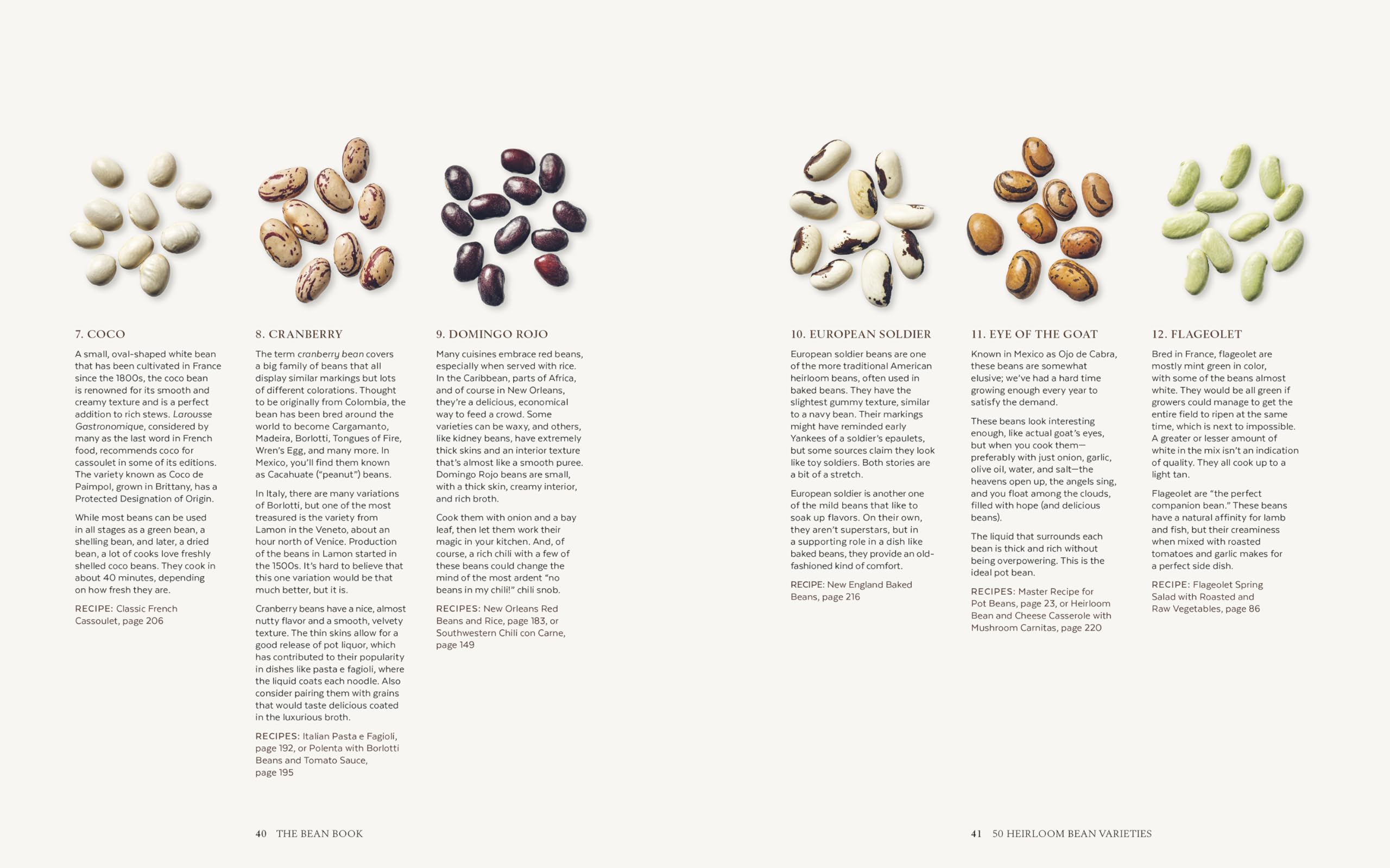 Steve Sando The Bean Book: 100 Recipes for Cooking with All Kinds of Beans, from the Rancho Gordo Kitchen [A Cookbook]