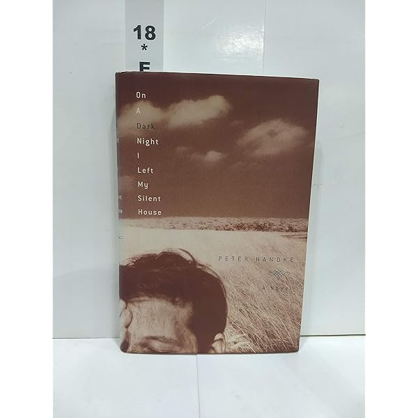 洋書 My Year in the No-Man's-Bay Amazon.com: My Year in the No-Man's-Bay: A Novel: 9781250767233