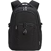 Amazon Basics Travel Laptop Backpack for 17 in / 43.1 cm Laptop, Black