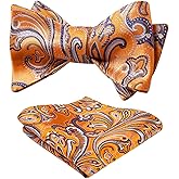 HISDERN Bow Ties for Men Paisley Bowties Mens Self Tie Bow Tie and Pocket Square Set Formal Tuxedo Wedding Bowtie