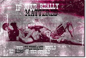 Amazon Com Brazilian Jiu Jitsu Motivational Poster 16 If Size