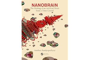 Nanobrain: The Making of an Artificial Brain from a Time Crystal