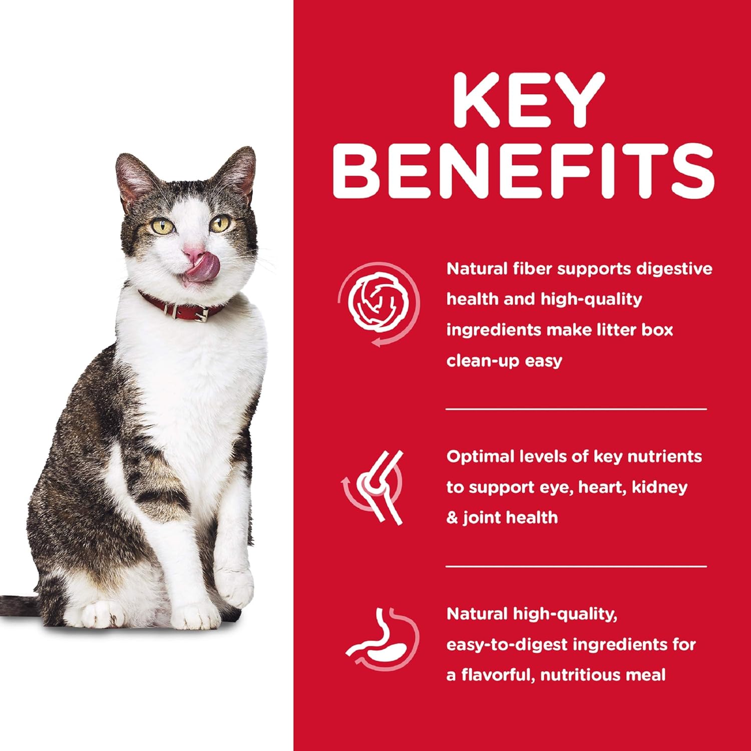 Hill's Science Diet Dry Cat Food, Adult 11+, Indoor, Chicken Recipe, 7 lb Bag : Dry Pet Food : Pet Supplies