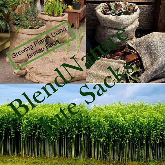 Sacos de Yute Grande de Café Reciclados – Pack de 6 Unidades de ...