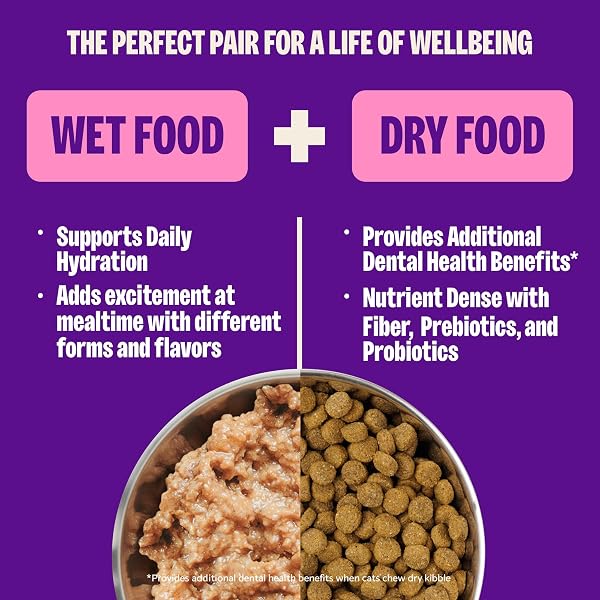 WELLNESS COMPLETE HEALTH GRAVY AND MINCED VARIETY PACK ADULT CANNED WET CAT FOOD, NATURAL, PROTEIN RICH, GRAIN FREE, CHICKEN AND TURKEY LOVERS, 3 OZ, PACK OF 12 CANS