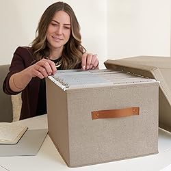 ZICOTO Decorative File Organizer Box Set of 2