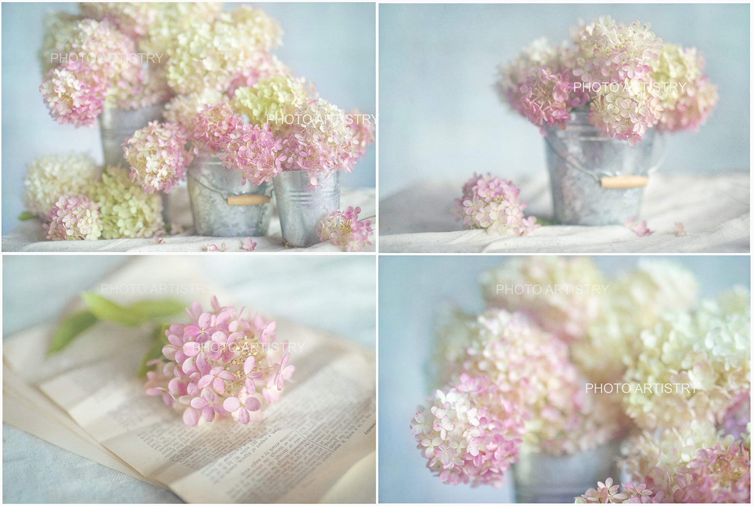 Lovely Hydrangea 4 Print Set, Rustic Wall Art, Pink, Shabby Chic Decor, Hydrangea Wall Art, Pink Hydrangeas Flowers,Floral Wall Art Prints, 8"x10"