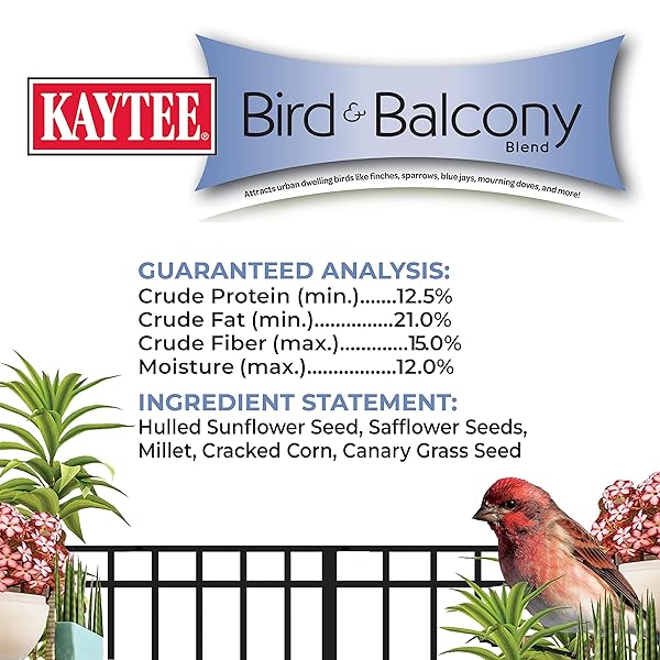 KAYTEE BIRD & BALCONY WILD BIRD FOOD NO MESS SEED BLEND FOR CITY DWELLING BIRDS LIKE FINCHES, SPARROWS, MOURNING DOVES AND MORE, 5 LB