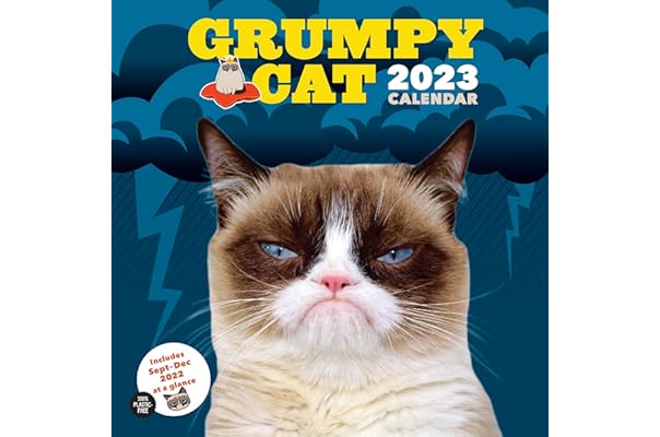 Calendrier Whiskas 2023 Amazon.com New Releases: The Best-Selling New & Future Releases In Cat  Calendars