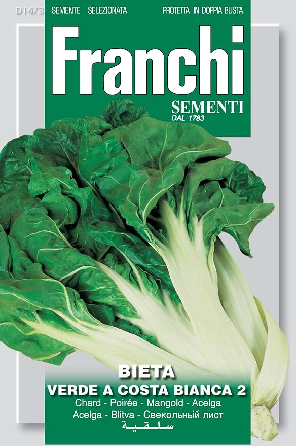 Seeds of Italy Ltd DBO 14/3 - Semillas (acelga): Amazon.es: Jardín