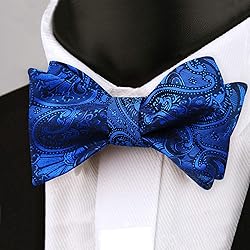 Alizeal Men's Paisley Jacquard Tuxedo Self Bow Tie