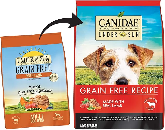 canidae under the sun lamb