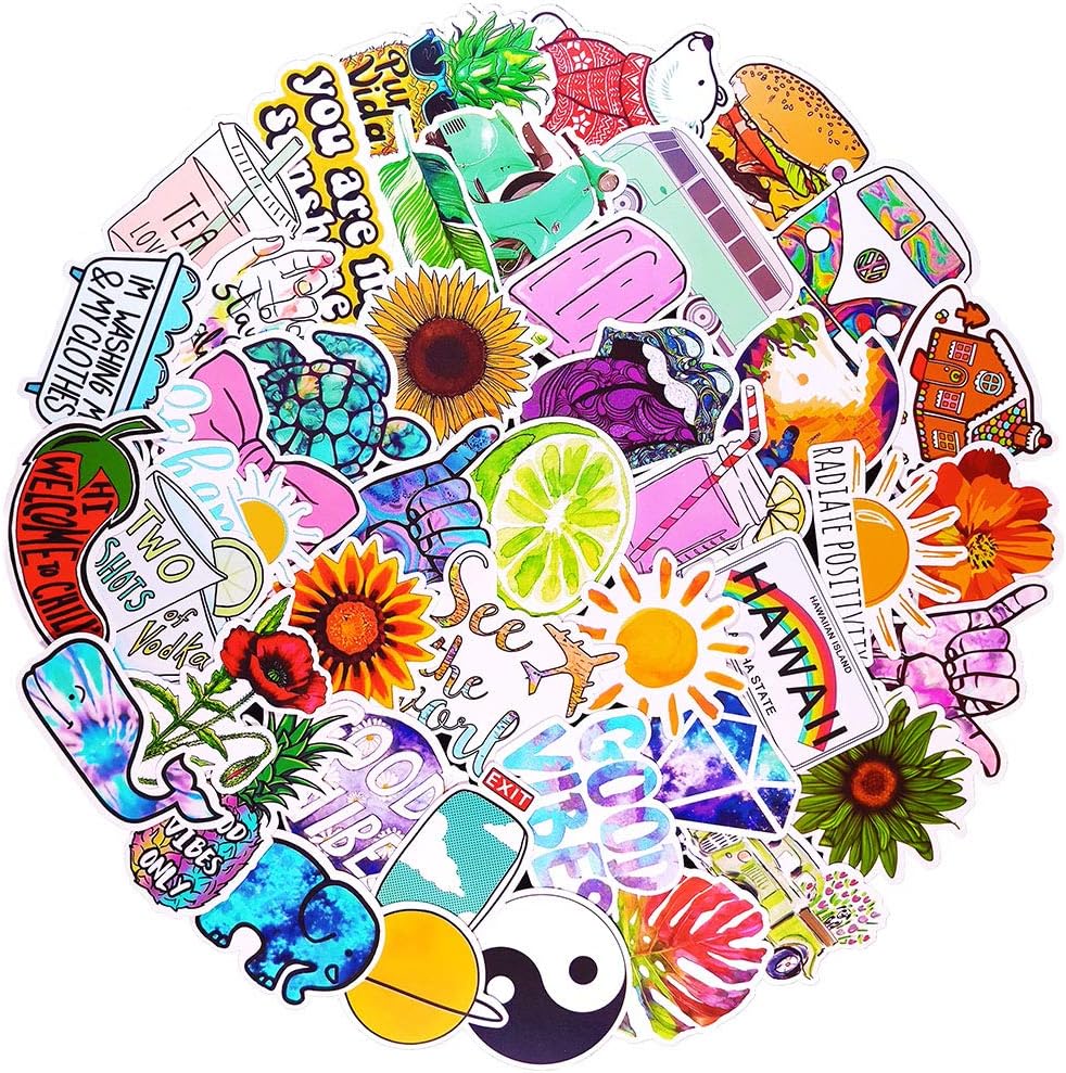100 Pcs Popular Vsco Waterproof Vinyl Stickers for Water Bottles Hydroflasks MacBook Laptop Computer Wall Refrigerator,Cute Trendy Aesthetic Stickers Decals Pack for Toddlers Boys Girls Teens Kids.