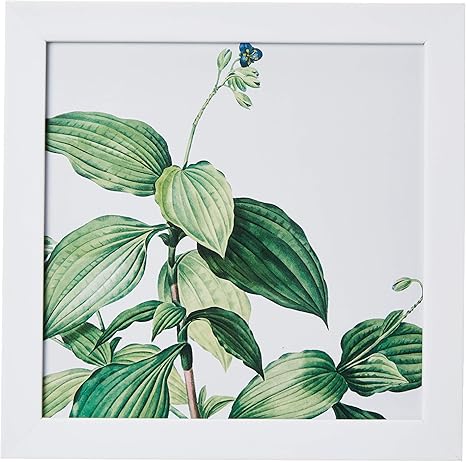 Quadro Decorativo Folhas Grandes E Flor 46 X 32 5 Cm Moldura Em Laca Branca Arte Maniacos Husky Verde Amazon Com Br