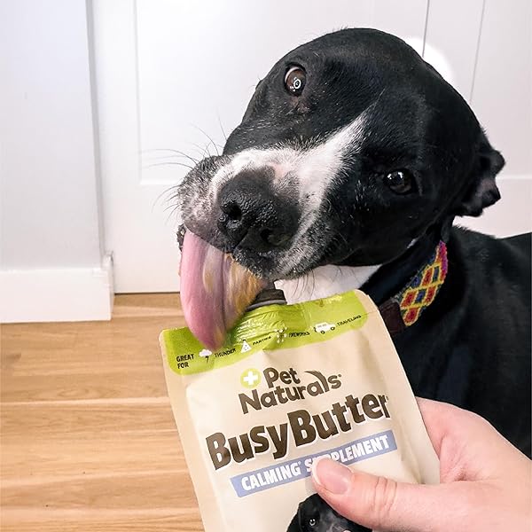 PET NATURALS BUSYBUTTER EASY SQUEEZE CALMING PEANUT BUTTER FOR DOGS 6OZ POUCH