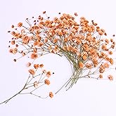 LYFORTZY 30 Pcs Orange Small Dried Babys Breath Flowers for Resin ,Real Dried Babys Breath Pressed Flower for Wedding Invitations Wax Seals ,Dry Flat Baby's Breath Flower with 1 Tweezers.