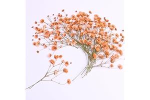 LYFORTZY 30 Pcs Orange Small Dried Babys Breath Flowers for Resin ,Real Dried Babys Breath Pressed Flower for Wedding Invitations Wax Seals ,Dry Flat Baby's Breath Flower with 1 Tweezers.