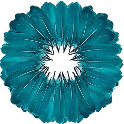 FeelfunFeather 120pcs Peacock Blue Goose Feathers