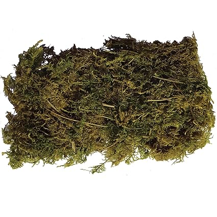 Pet Ting Tropical Forest Floor Vivarium Reptile Substrate 1 5 Lt