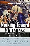 Working Toward Whiteness: How America's Immigrants Became White: The Strange Journey from Ellis Island to the Suburbs