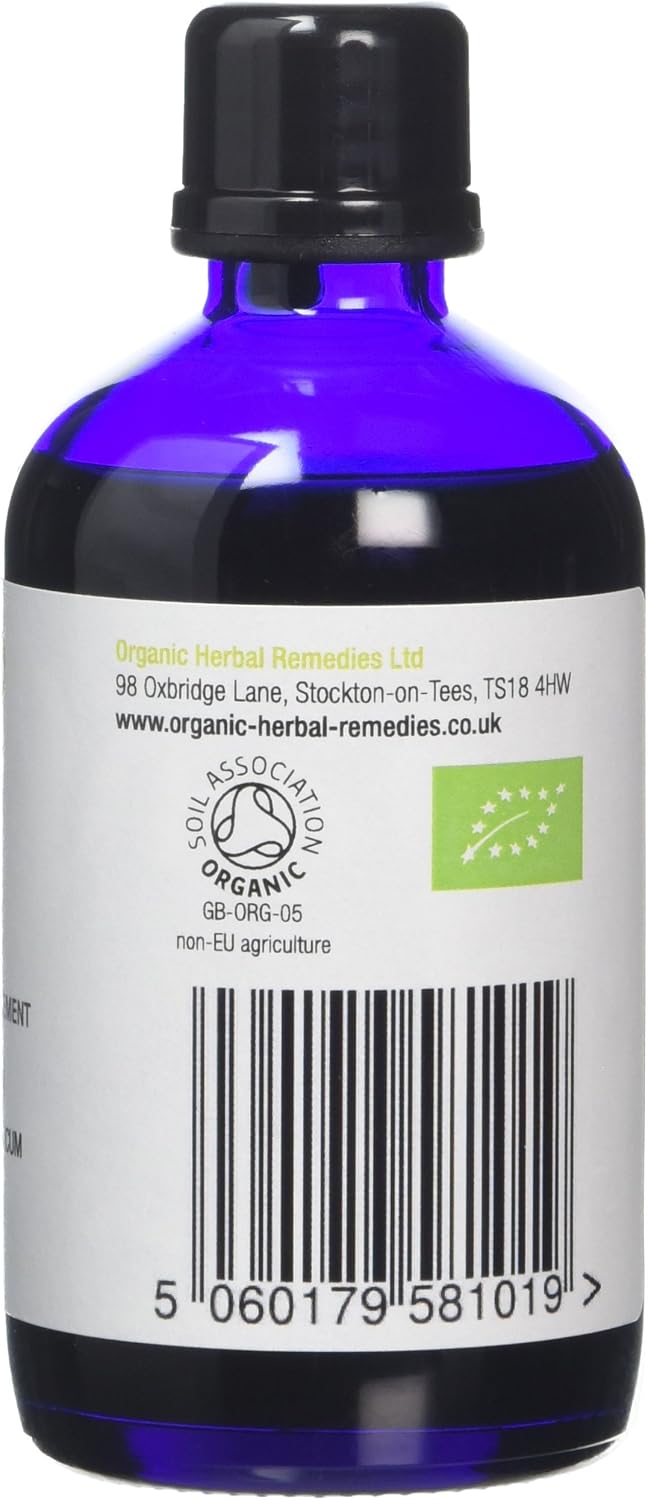 Organic Herbal Remedies 100 ml Cinnamon Tincture, 100 ml (Pack of 1) - Image 3
