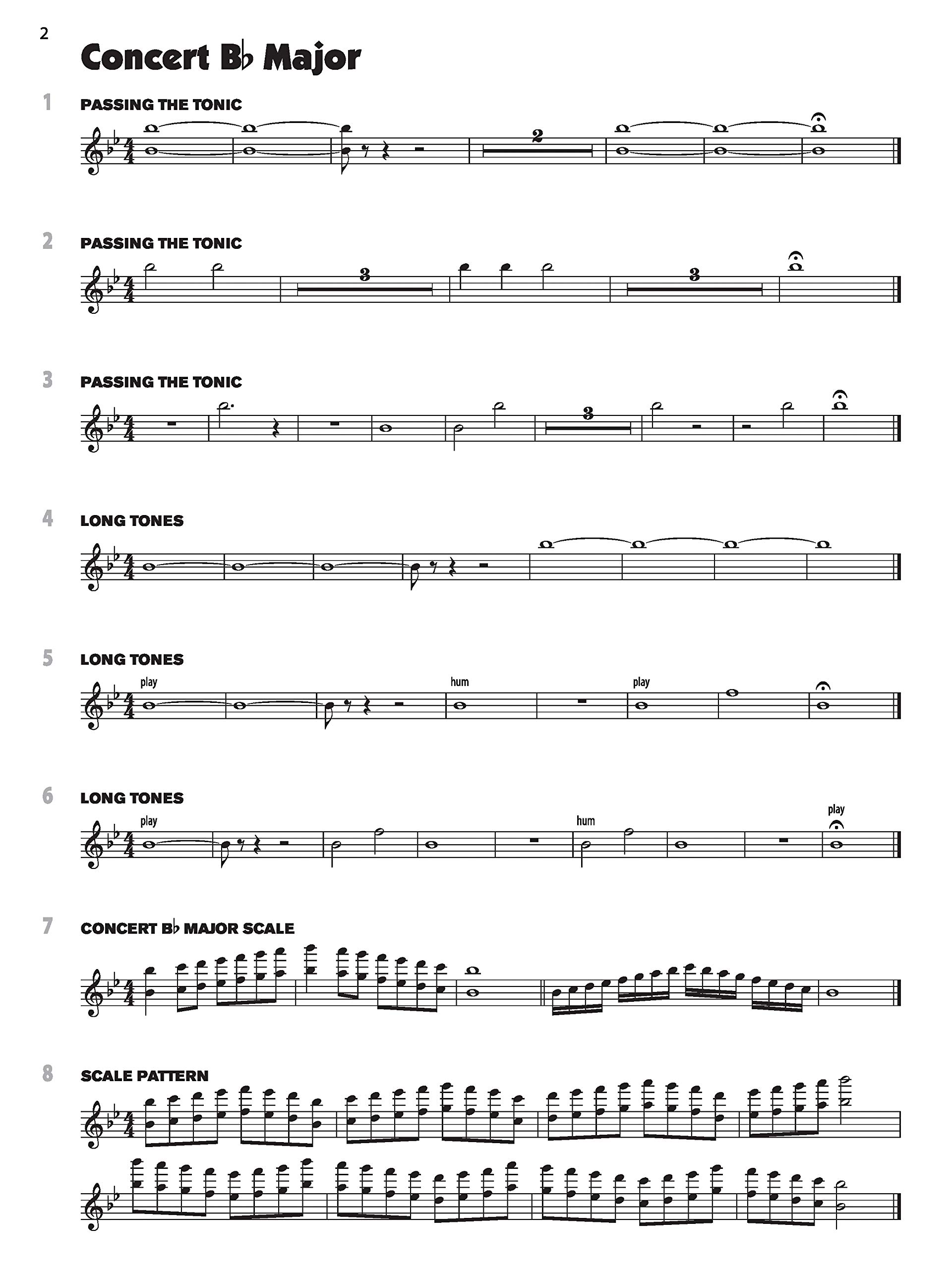 Best Flutes For Advanced Players Complete Guide