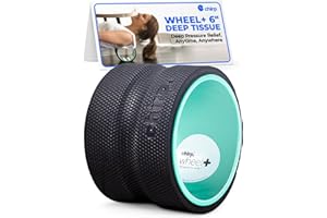 Chirp Wheel Foam Roller – Targeted Back & Neck Relief, Lumbar Spine Stretcher, Spinal Decompression Back Stretcher, Massage Roller with Density Foam for Physical Therapy, Supports 500lbs, 6-Inch Mint