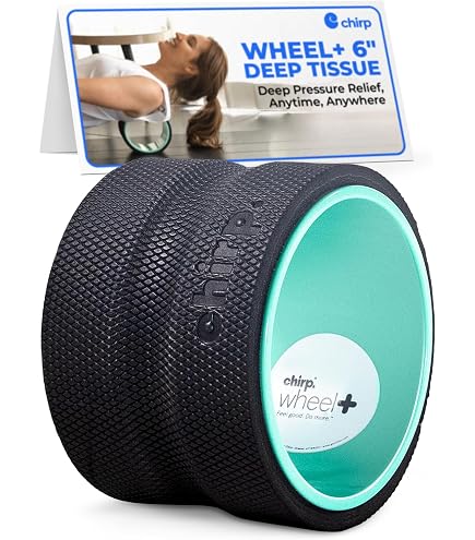 Rouleau De Massage FitBeast 9 Pouces (23cm) - Pour Le Dos, étirements Et Soulagement Des Douleurs