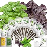 Hydroponics Seed Pod with Genovese Basil & Purple