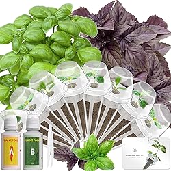 Hydroponics Seed Pod with Genovese Basil & Purple